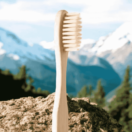 Ayushalya Bamboo toothbrush
